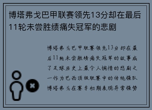 博塔弗戈巴甲联赛领先13分却在最后11轮未尝胜绩痛失冠军的悲剧
